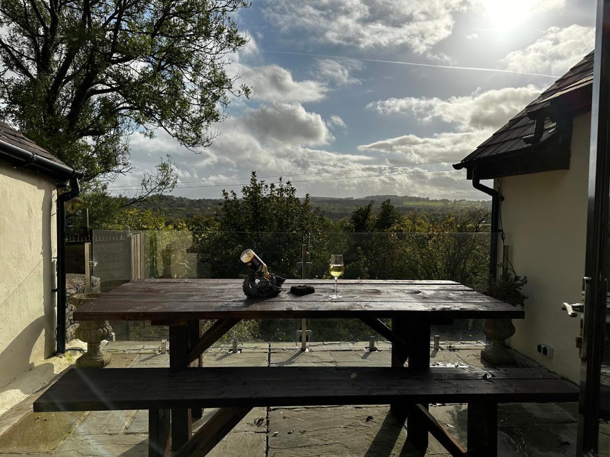 Coed Y Ddraig - Themed 3 Bedroom Cottage, With Bar & Pool Table Tregaron Buitenkant foto